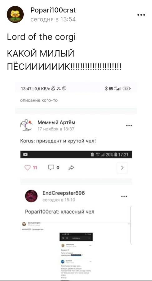 GibCat: Главная милашка Мемозгаа! :3