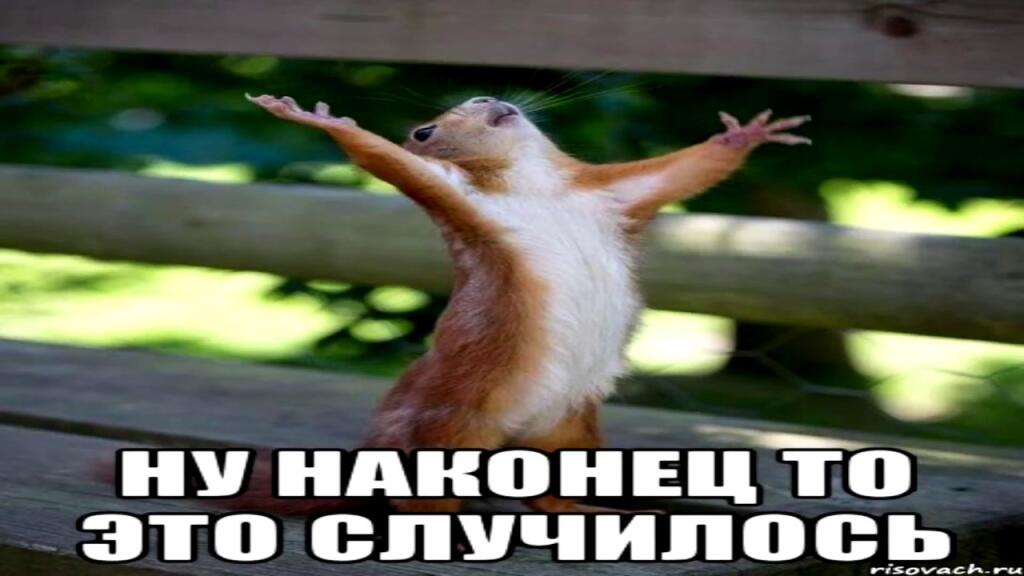 Белка с поднятыми лапами на деревянном заборе, внизу надпись: НУ НАКОНЕЦ ТО ЭТО СЛУЧИЛОСЬ