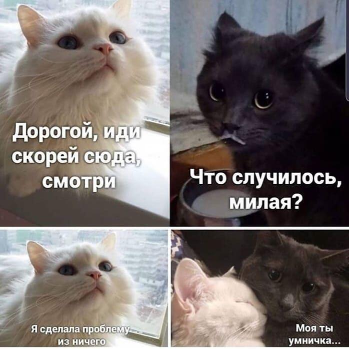 Мем от Basilik