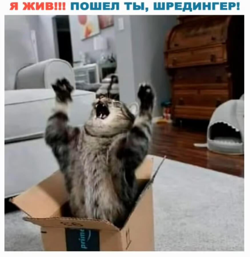 «Это элементарно,это квантовая физика Ватсон»
