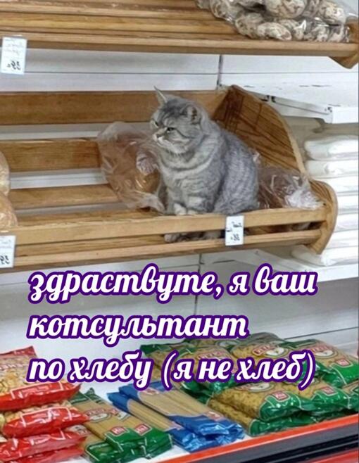Meмы