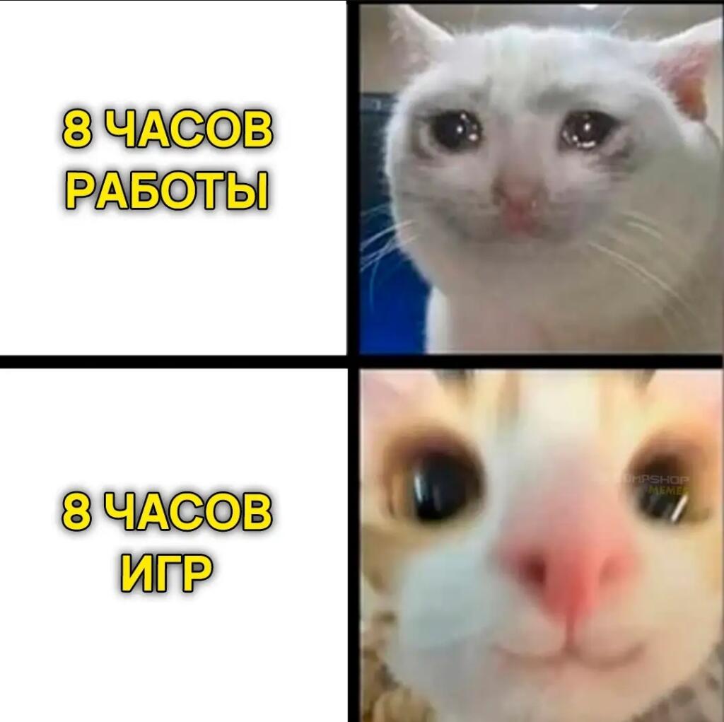 База