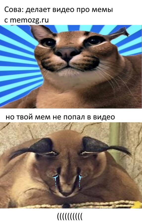 Мем от Шлепец