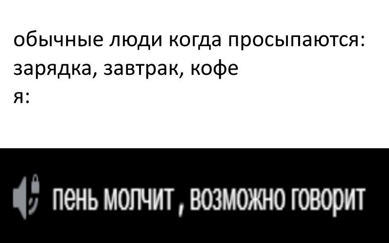 Мем от Шлепец