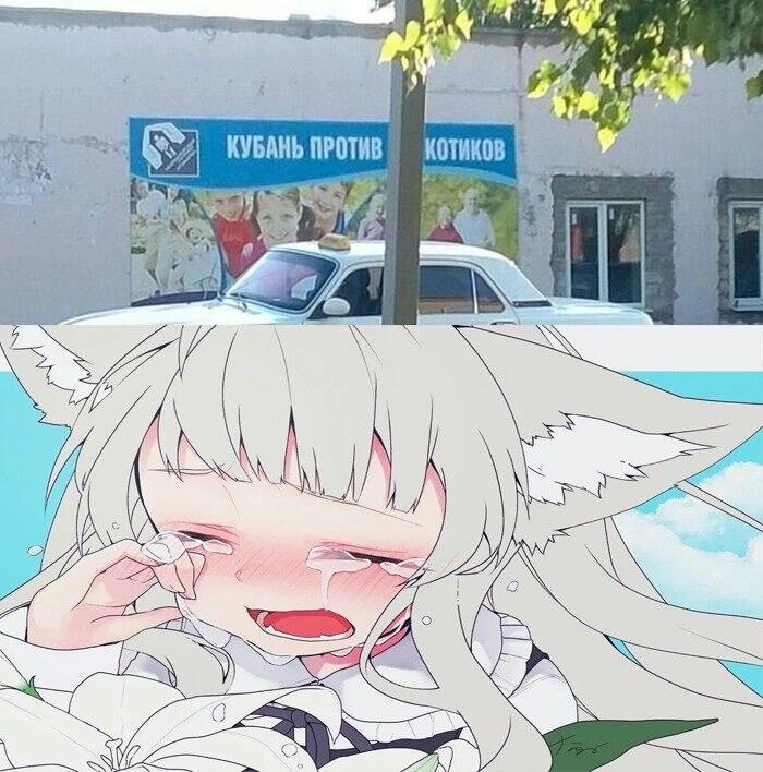 (TωT)