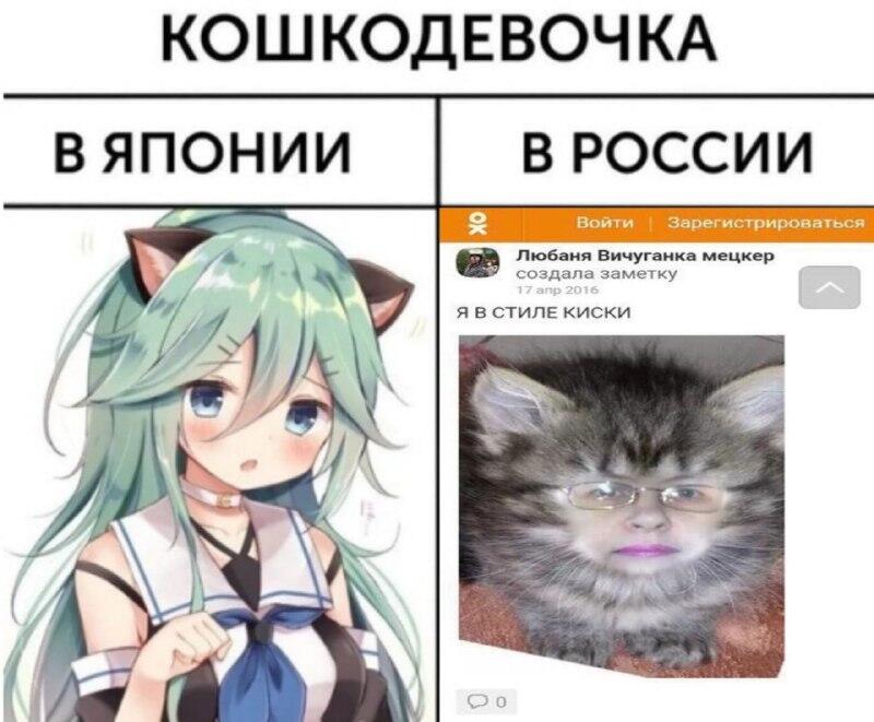 Мем от Шлепец