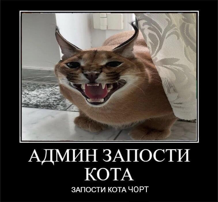 сообщество из которого взял мем: https://vk.com/floppland_empire