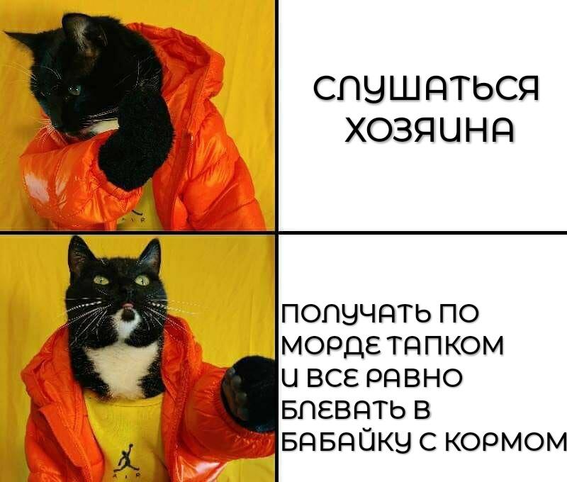 Текст