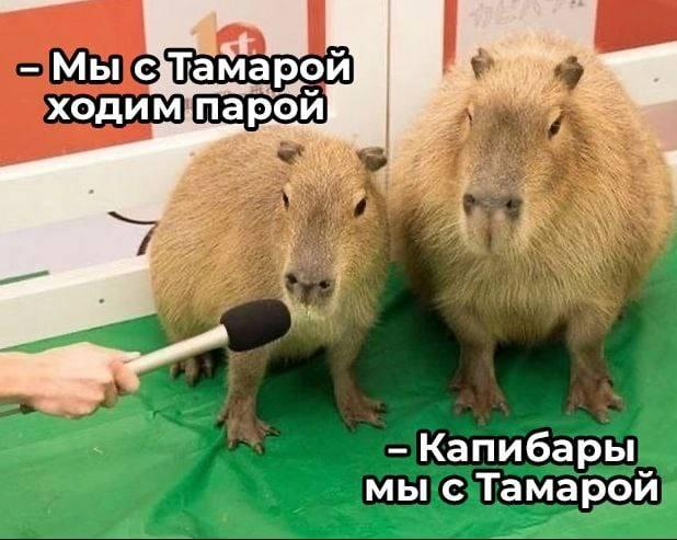 Мем от Dementia