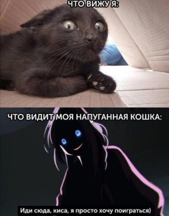 Мем без подписи