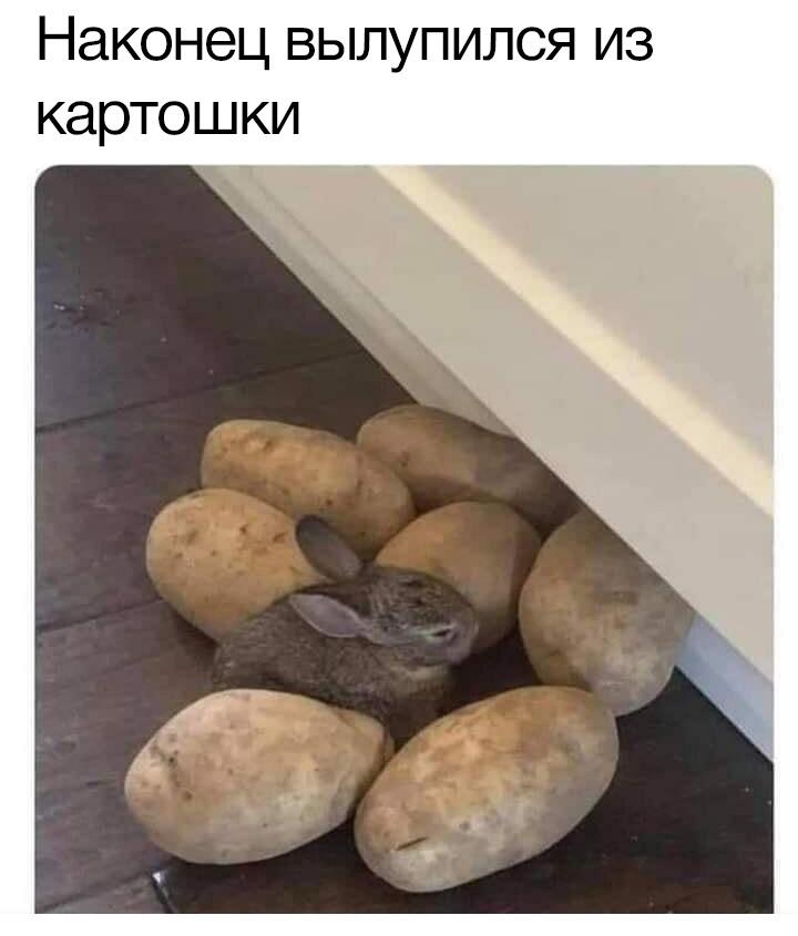 Мем от Брахмапутра