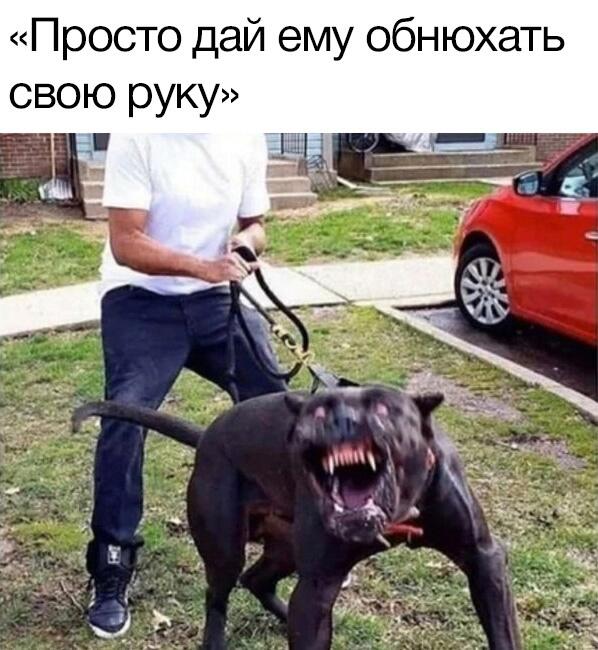 Мем без подписи