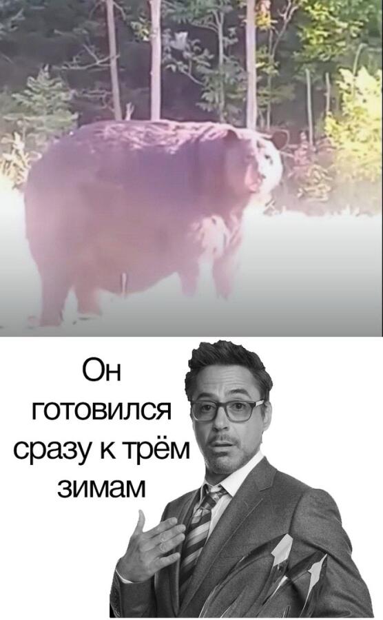 Мем без подписи