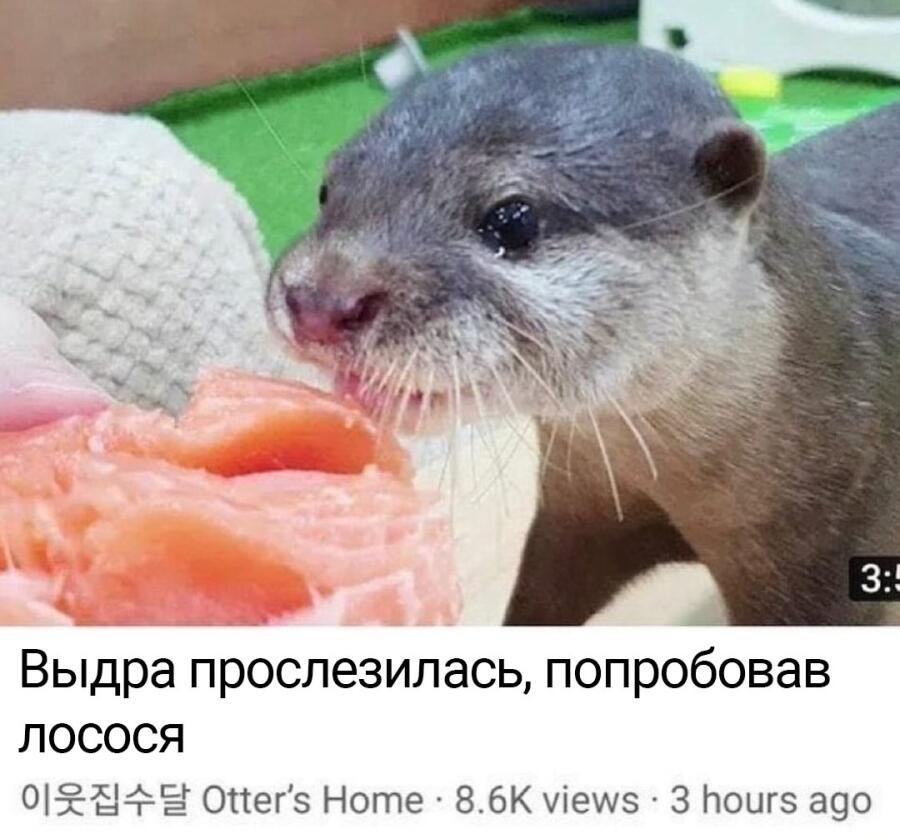 Ей просто обидно, что всего кусок дали