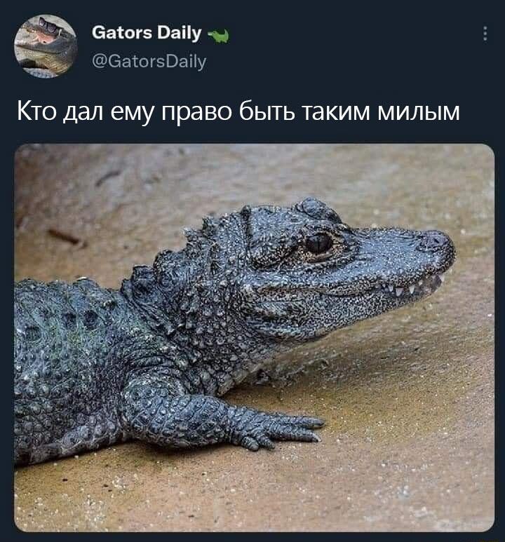Это был я, простите