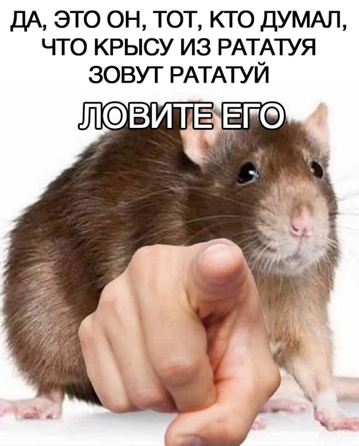 Мем от Брахмапутра
