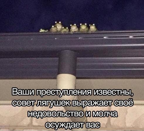 Среда близко...