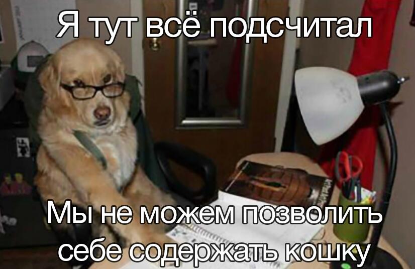 Мем без подписи