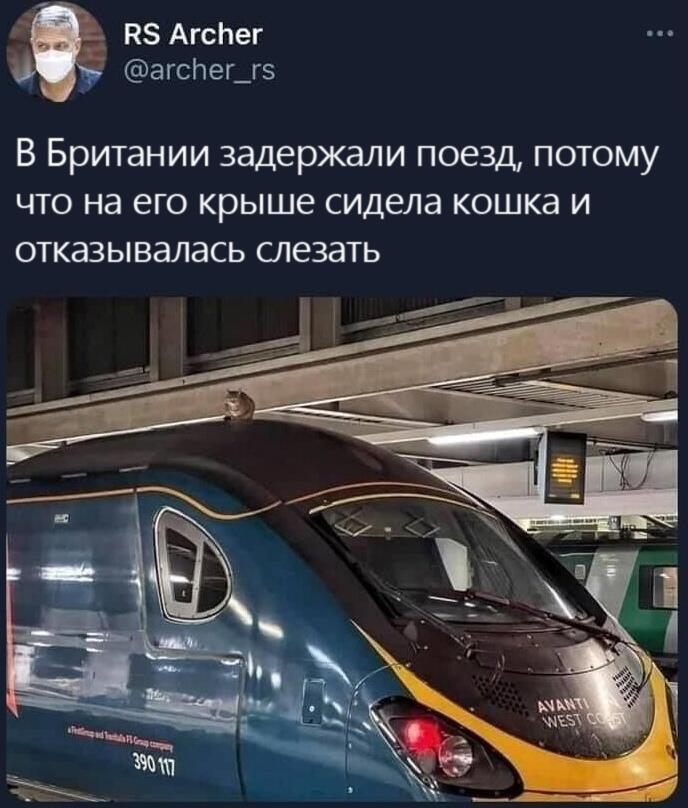 Мем без подписи