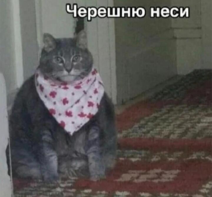 Я летом у бабушки: