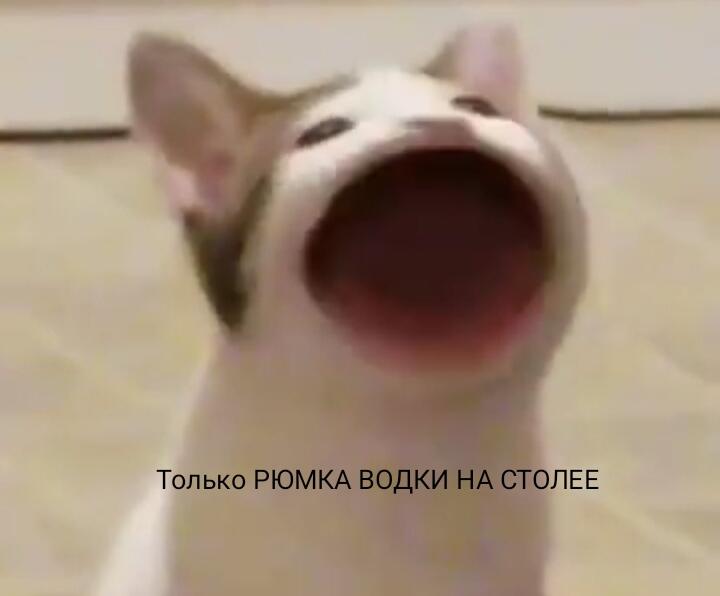 никто: 
Абсолютно никто: 
Я в ванной:
