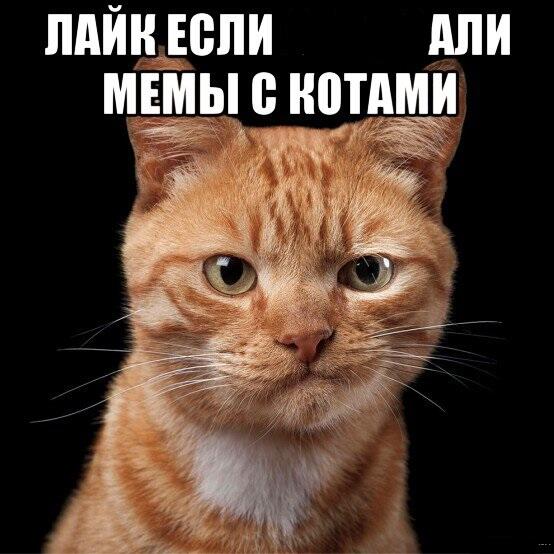 Додумаете сами
