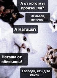 Стыд Наташа, стыд!