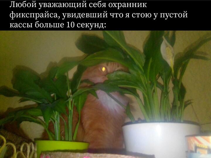 И так каждый раз...