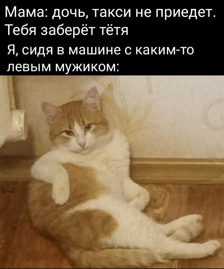 Мем от Пакетик