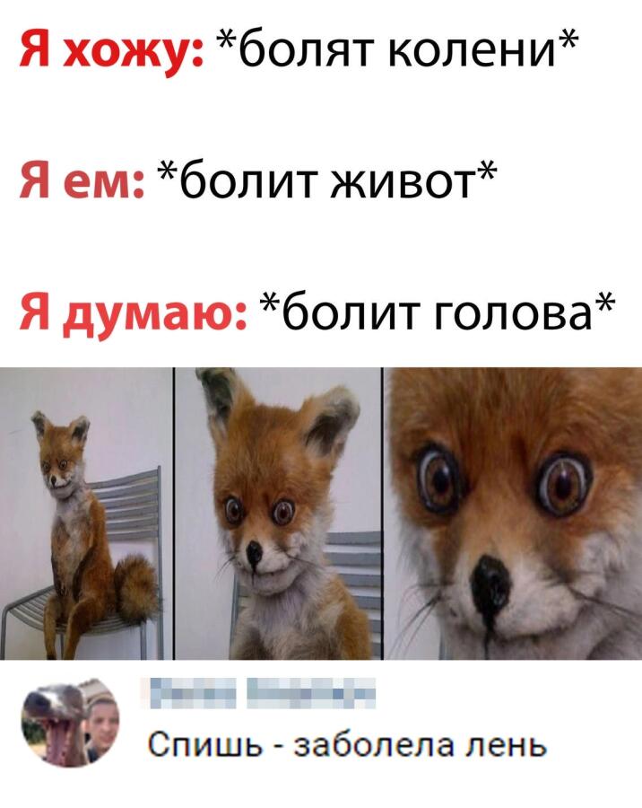 Мем от KRASAVCHIK