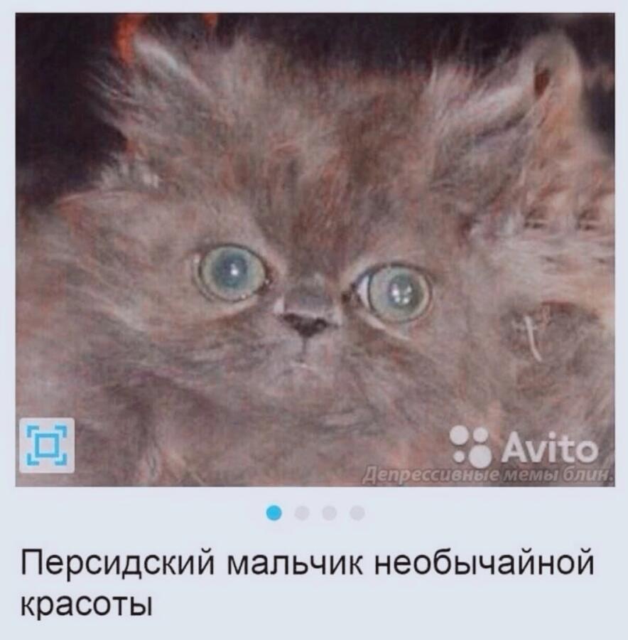 Мем от KRASAVCHIK