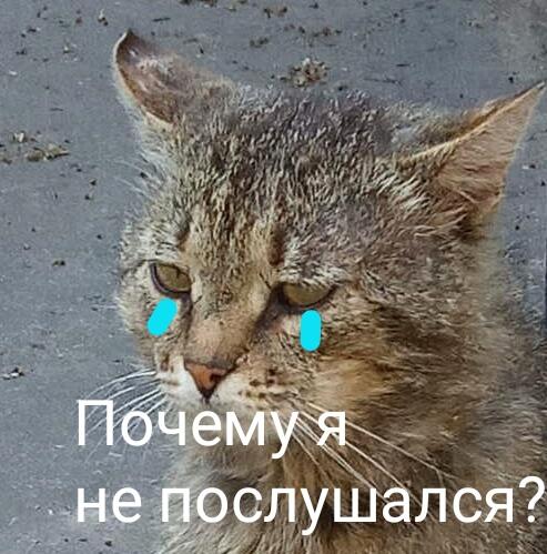Телефон: У вас осталось меньше 20% зарядки! 
Я: Достал уже, дай уровень пройти 
*через несколько минут* 
Телефон: У в