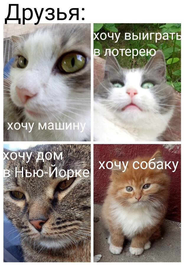 Мем без подписи