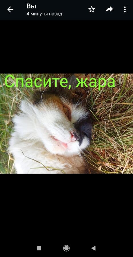 Вы тоже как она?