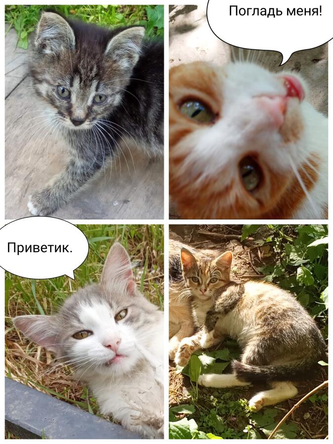 Шок.   За ночь прибавились лайки на каждом моём посте, лайки подскочи...