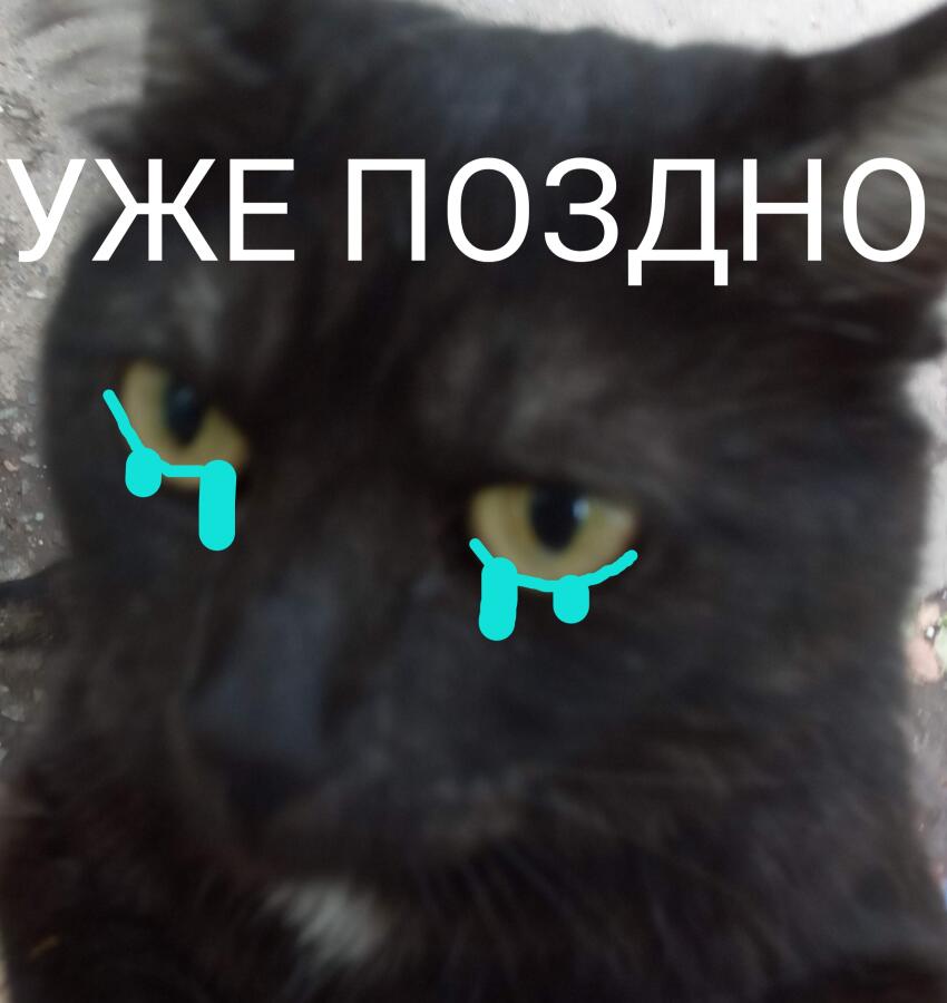 Когда 4-летняя я с мамой приходили домой, я злилась, что мама включала свет, а не я!!! Тогда мама выключала свет и говор