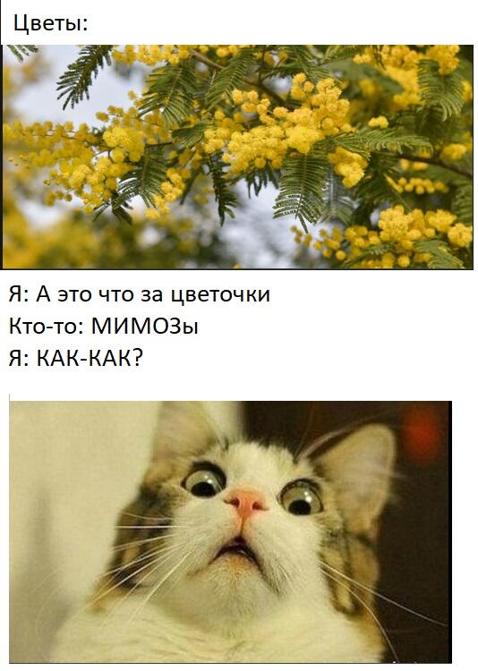 Ну, объяснения наверно не нужны