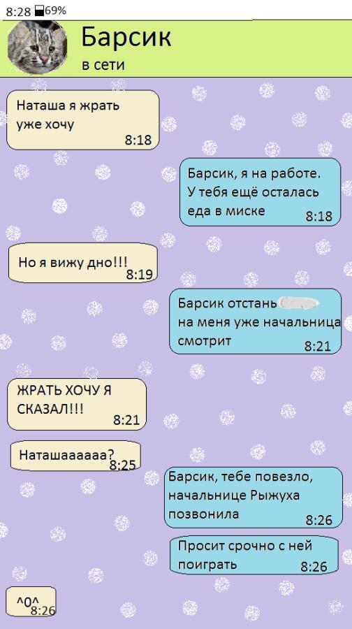 Чат с котом. Идеально подделан под настоящий.