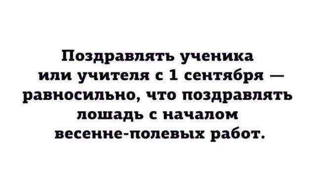 И так каждый год, каждый год...
