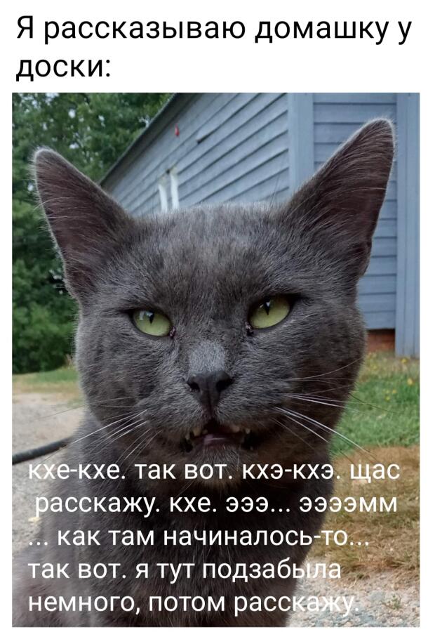 Я удивлена, что мультфильм (мне так нравится его называть) про П и Б в...