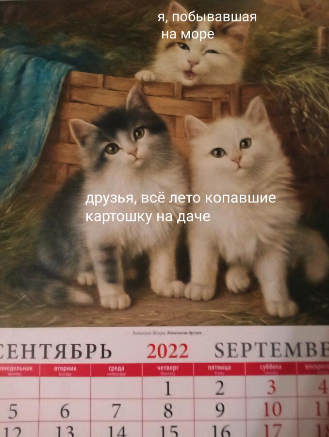 Мем от GibCat