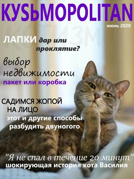 Я бы не отказалась приобрести несколько номеров