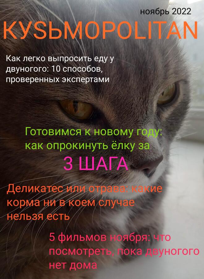 Помните, я уже выкладывала такой? Это новый выпуск!