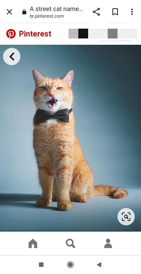 Прикиньте я нашла полную картинку 🙀🙀🙀😸