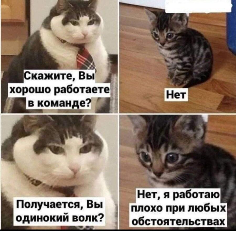 Мем от GibCat