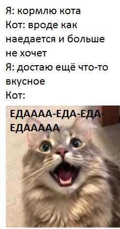Мем без подписи