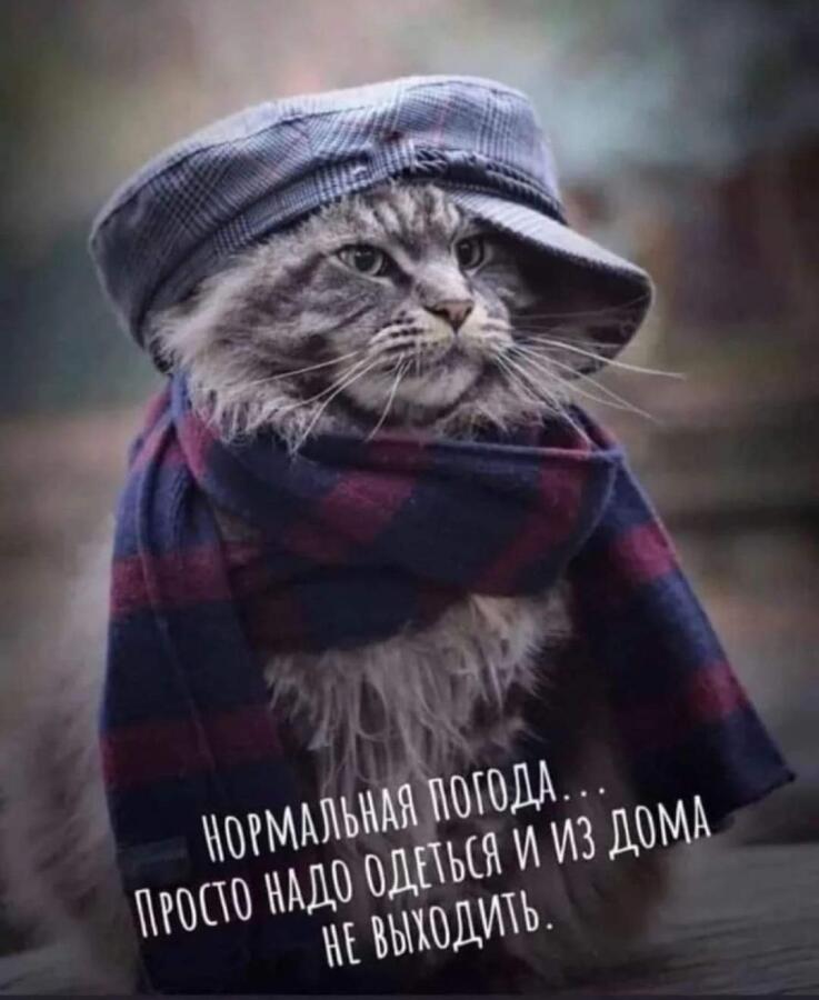Как погода? Как новогоднее настроение?