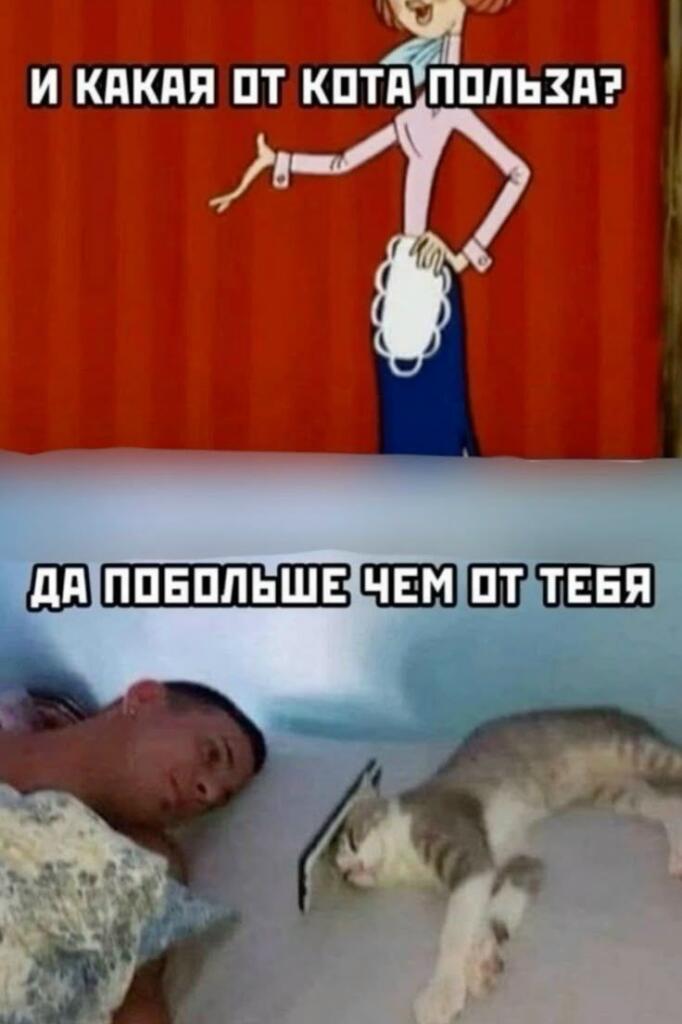Мем от Черемша