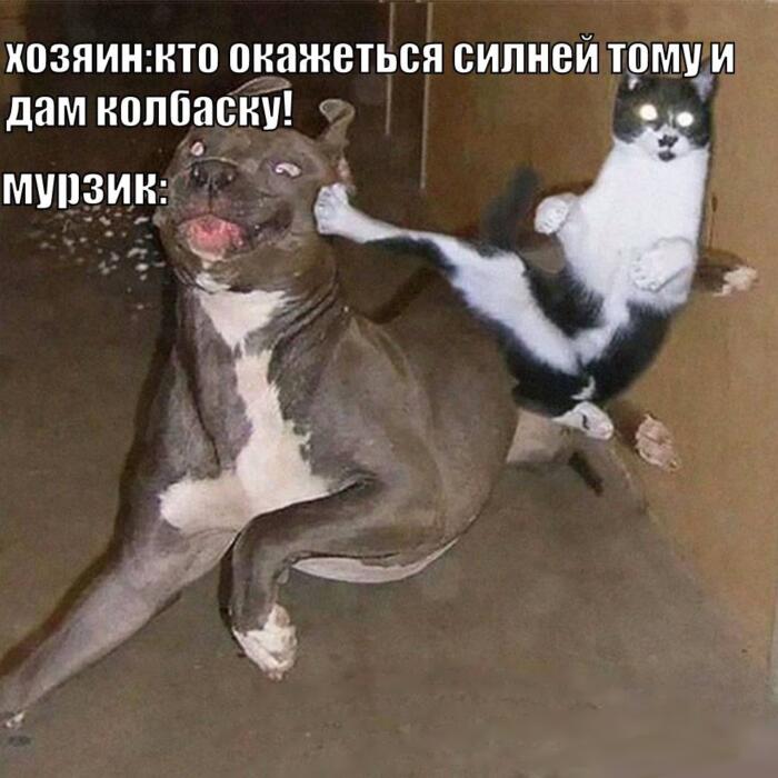Мем от Anna_1