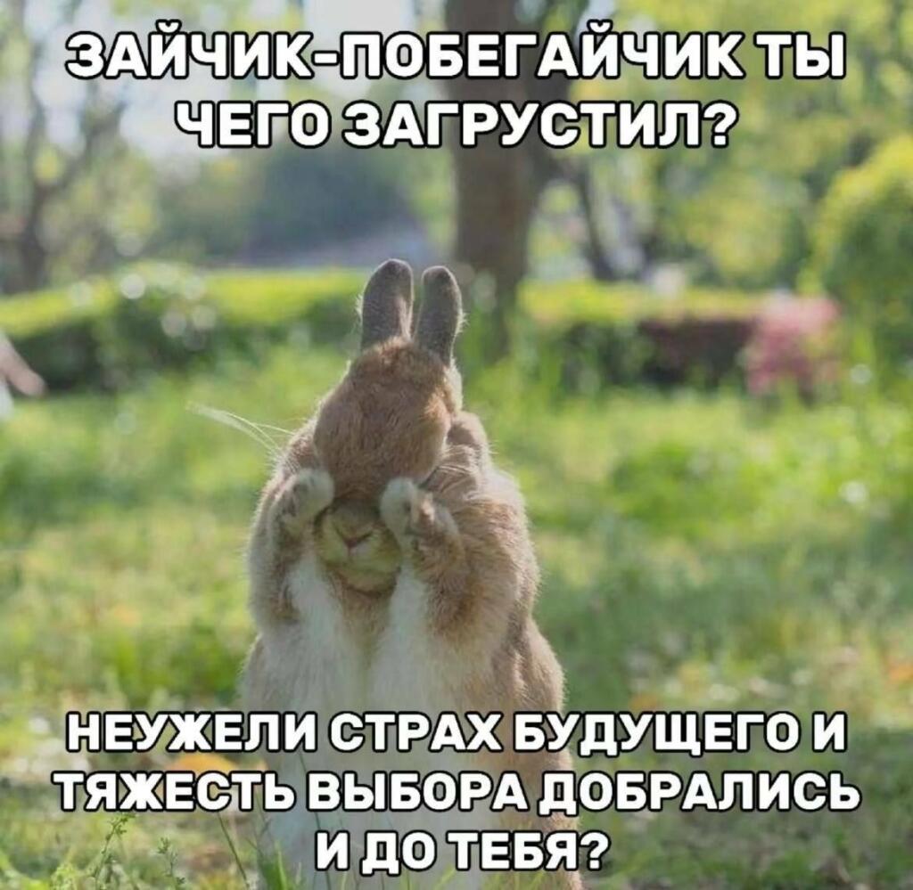 Мем от Маэстро[ПЛМ]